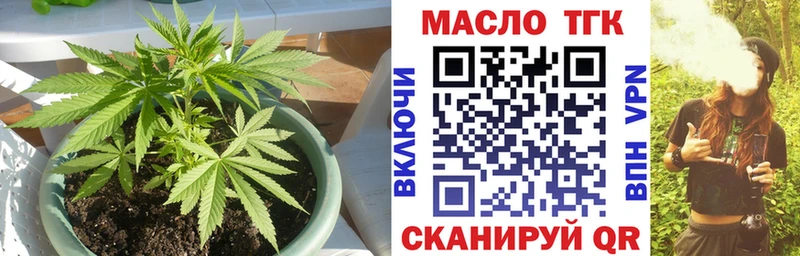 omg ссылка  Кашин  Дистиллят ТГК гашишное масло  цены наркотик 